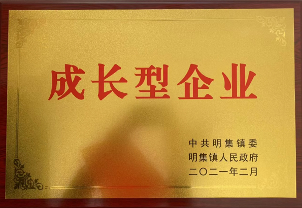 荣誉资质